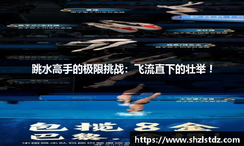 跳水高手的极限挑战：飞流直下的壮举 !