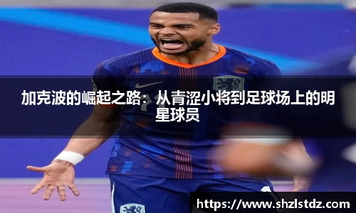 j9九游会入口